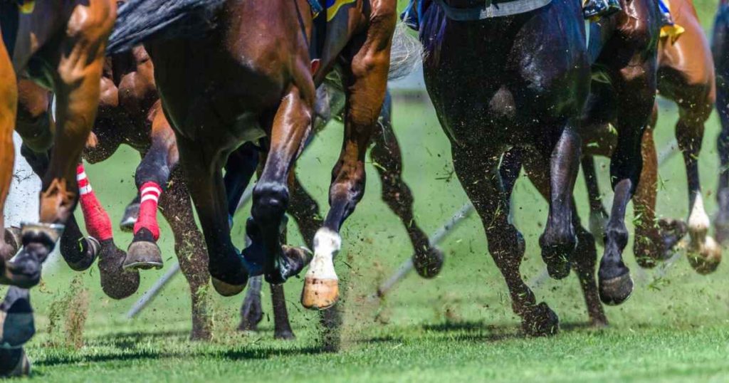 NYRAbets Michigan license approved for horse racing